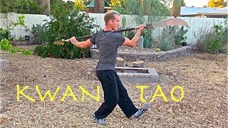 Top 10 Kwan Tao Techniques  Guan Dao Kung Fu [upl. by Si937]