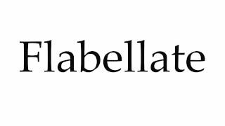 How to Pronounce Flabellate [upl. by Onaivlis]