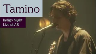 Tamino  Indigo Night Live at AB  Ancienne Belgique [upl. by Yvon697]