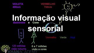 Informação visual sensorial  Saúde e medicina fisiologia avançada do sistema nervoso  Khan Academy [upl. by Ainessej707]