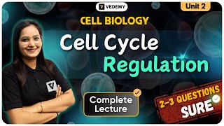 Cell Cycle Regulation  Cell Biology  Dr Ravina Rai  CSIR  DBT  GATE  ICMR  JAM  ICAR CUET [upl. by Theall]