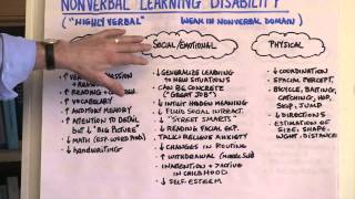 What Is Nonverbal Learning Disability [upl. by Donela]