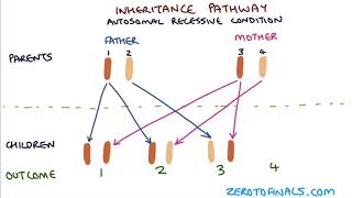 Understanding Autosomal Dominant and Autosomal Recessive Inheritance [upl. by Thomasina]