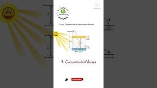 Photocatalysis Concepts  Energy losses  Shorts [upl. by Jeroma]