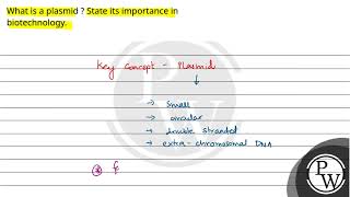 What is a plasmid  State its importance in biotechnology [upl. by Marga]