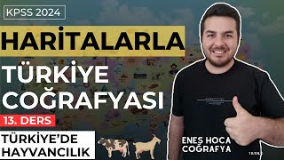 Haritalarla Türkiye Coğrafyası I Türkiyede Hayvancılık I Enes Hoca kpsscoğrafya [upl. by Rafaellle]