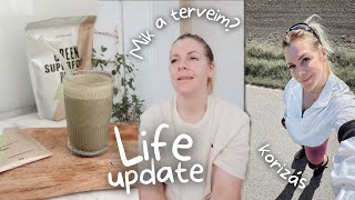 LIFE UPDATE • mik a terveim • korizás superfood smoothie [upl. by Tichonn]