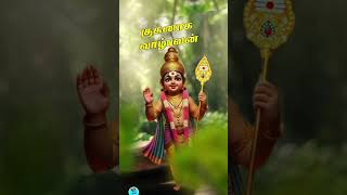 Azhagellam murugane song  murugan whatsapp status  murugan god reels lordmurugan [upl. by Miran]