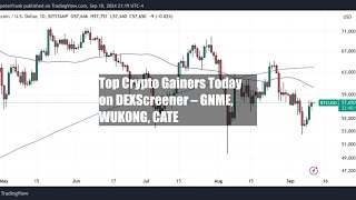 Top Crypto Gainers Today on DEXScreener – GNME WUKONG CATE [upl. by Ahsienaj792]