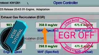 VCDS  EGR Delete [upl. by Dupin487]