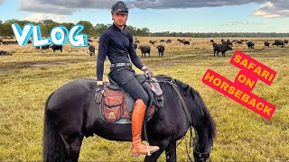 HORSE RIDING SAFARI IN ZIMBABWE PART 1 [upl. by Malynda]