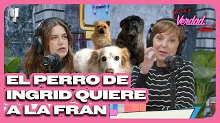 EL PERRO DE LA INGRID QUIERE A LA FRAN  DI LA VERDAD ROSA [upl. by Tyra440]