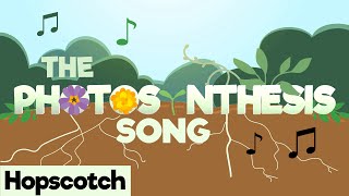 The Photosynthesis Song [upl. by Alano]