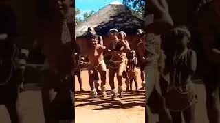 Botswana traditional dancers [upl. by Ahsiekel]