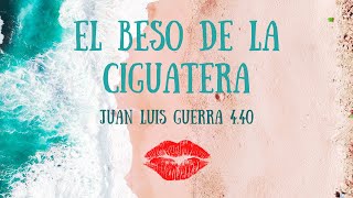 Yas Cepeda  El Beso De La Ciguatera feat Juan Luis Guerra 440  Radio Edit [upl. by Hanoy]