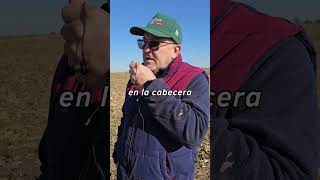 Enormes cárcavas por erosión hídrica  Trabajamos en el suroeste de Córdoba suelo erosion [upl. by Soneson982]