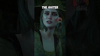 Witcher 3  5 unique stories about the OPEN WORLD Part 1 thewitcher thewitcher3 [upl. by Pachston895]