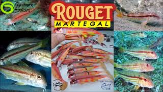 le Rouget Martegal  Leurre souple imitant parfaitement un Rouget Barbet de Roche [upl. by Enyak]