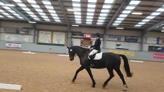 Novice 38 dressage test BD [upl. by Jotham]