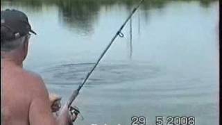 Extreme Predator fishing at IT Lake Monsters in Thailand [upl. by Queri]