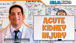 Acute Kidney Injury AKI  Etiology Pathophysiology Clinical Features Diagnosis Treatment [upl. by Mcquillin]