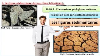 Les figures sédimentaires liées au climat  SVT 1 BAC sciences mathématiques option français [upl. by Yeh]