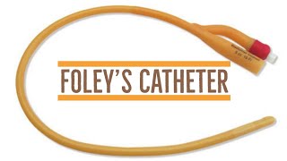 Foleys catheter  Parts  Sweta Yadav [upl. by Gnihc]