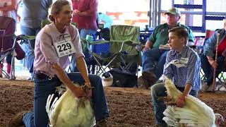 Waller FFA and Barnyard Buddies at the Waller County Fair [upl. by Azilem]