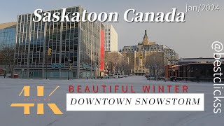 Experience the Winter beauty in Saskatoon Canada [upl. by Obediah927]