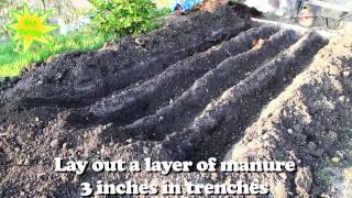 How to grow plant Potatoes the Easy way  Vegetable Growing Guide  Get Planting [upl. by Nadda759]