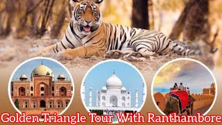 Golden Triangle Tour Unveiling the Secrets of Ranthambore National Park [upl. by Etnovaj563]