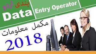 What is Data Entry Operator  Roles amp Responsibilities  Government Jobs  Server Urdu  Hindi [upl. by Knepper]