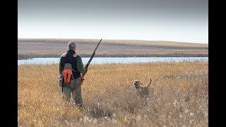 A Bird Dogs First Pheasant Hunt  The Flush Season 9 Episode 5 [upl. by Aivekal]