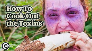 Your Guide to Eating this Toxic Root [upl. by Li435]