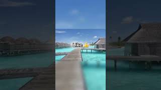 Qui attend les vacances d’octobre france video drole tiktok repost abonnetoi like pourtoi [upl. by Damle]