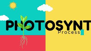 Photosynthesis Process For Kids  Kids Learning Videos  Kids Videos Littletopia TV [upl. by Adlin483]