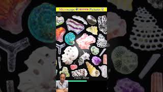 amazingfacts microscope factsinhindi microfacts microscopeworld animals amazingmicrofacts yt [upl. by Bartholomeus]