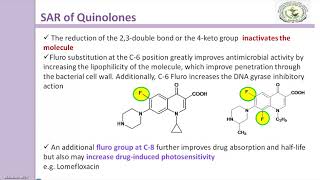 SAR of Quinolones [upl. by Margette531]