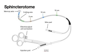 HCC 147412a Sphincterotome [upl. by Aenitsirhc]