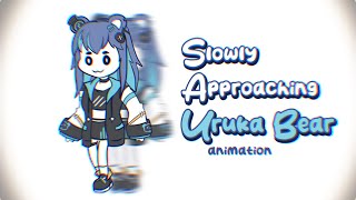 Slowly approaching Uruka Bear  Phase Connect animation [upl. by Assyle167]