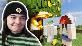 Aimsey And Boomer BURNED DOWN Ponks Lemon Tree AGAIN DREAM SMP [upl. by Etireugram833]