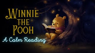 🧸 Reading of WinniethePooh  Full Audiobook for Sleep 😴 [upl. by Netsoj]