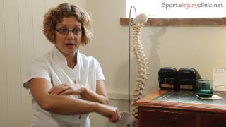 Tennis elbow treatment includes Golfers Elbow  Chiropractic adjustment [upl. by Earl]