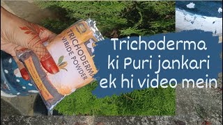 trichoderma derma uses in different ways and all details in one video gardening planting [upl. by Acihsay]