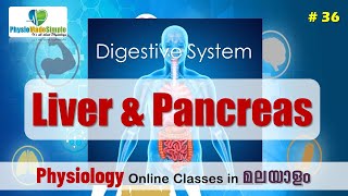 Ep36  Liver amp Pancreas humanphysiology malayalam digestivesystem [upl. by Hnib]