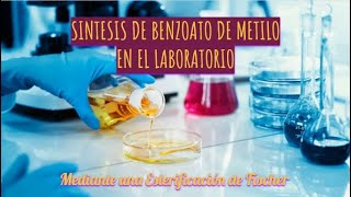 Síntesis de Benzoato de metilo en el laboratorio  Esterificación de Fischer  Fundamentos [upl. by Eenel]