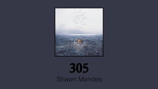 하이틴 남자주인공 주제곡💗  션 멘데스Shawn Mendes  305 한글 자막 [upl. by Eanom756]