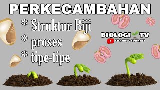 proses  mekanisme perkecambahan  struktur biji  tipe perkecambaham  biologi sma 12 pertumbuhan [upl. by Gore]