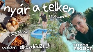 nyár a telken • változások engedélyeztetés valami elkezdődött • TITKOS PROJECT ep 6 [upl. by Heidie]