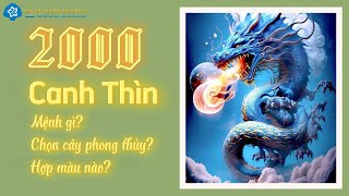 Người sinh năm 2000 Tuổi Canh Thìn hợp cây gì  màu gì  Phong thủy tuối Canh Thìn  Nhà Mới Xanh [upl. by Cruz163]